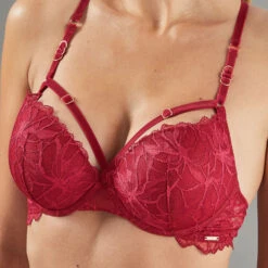SOUTIEN-GORGE PUSH UP DENTELLE BORDEAUX 6 SOUTIEN-GORGE PUSH UP DENTELLE BORDEAUX -ROUGEGORGE 11299700 Z
