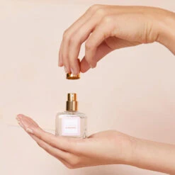 SOLIDAIRE TRANSPARENT -ROUGEGORGE 12573000 D