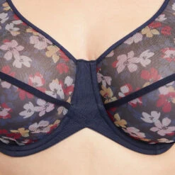 Blanche SOUTIEN-GORGE GRANDS BONNETS MULTICO BLEU 6 Blanche SOUTIEN-GORGE GRANDS BONNETS MULTICO BLEU -ROUGEGORGE 20032000 Z gt